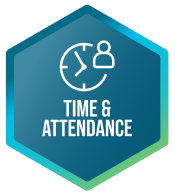 3-hex_time_attendance