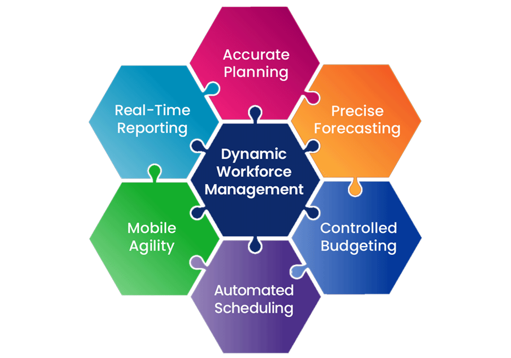 Dynamic-Forecasting